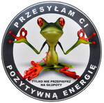 NAKLEJKI NAKLEJKA ŻABA KERMIT POZYTYWNA ENERGIA