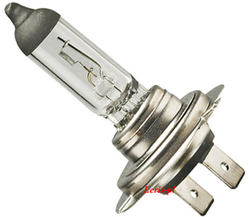 LS.00799 miniaturka22.jpg